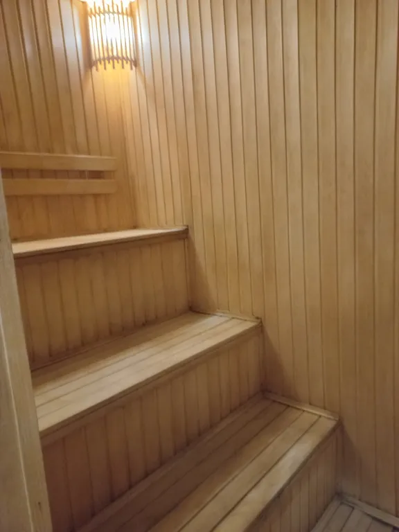 Дом с сауной и бильярдом в центре