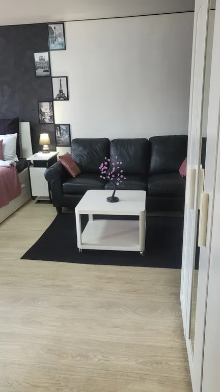 Лофт-студия Париж ждет своих гостей