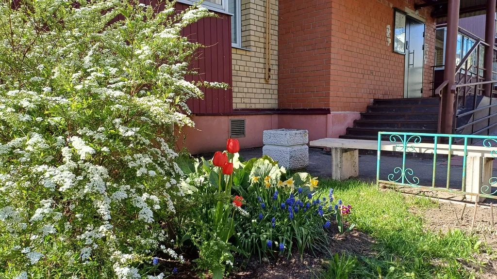 Уютная чистая квартира у Арена 2000 от собственника