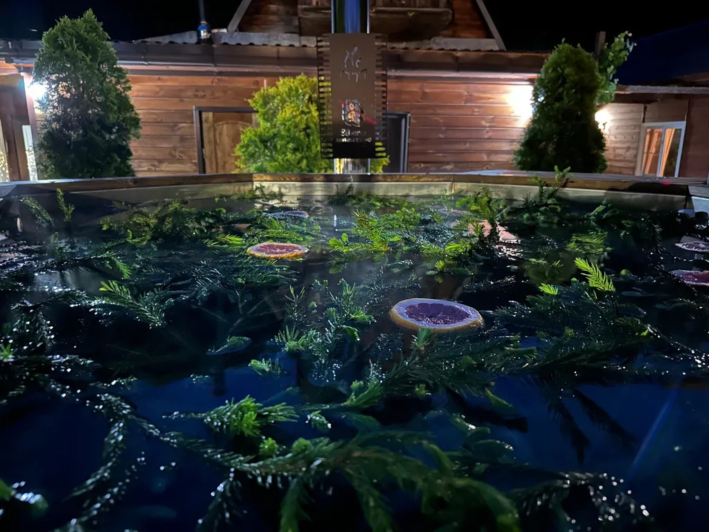 Дачный дом с русской баней и банным чаном