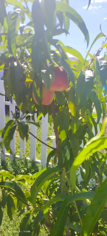 Уютный домик у моря