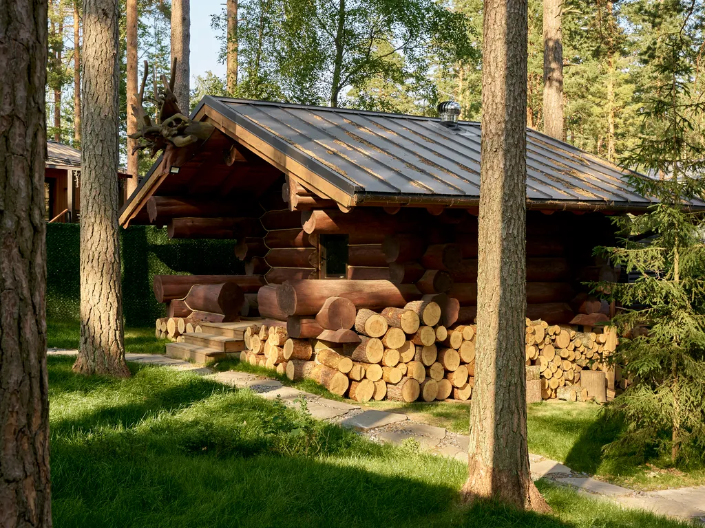 Дом с купелью и Гриль-домом