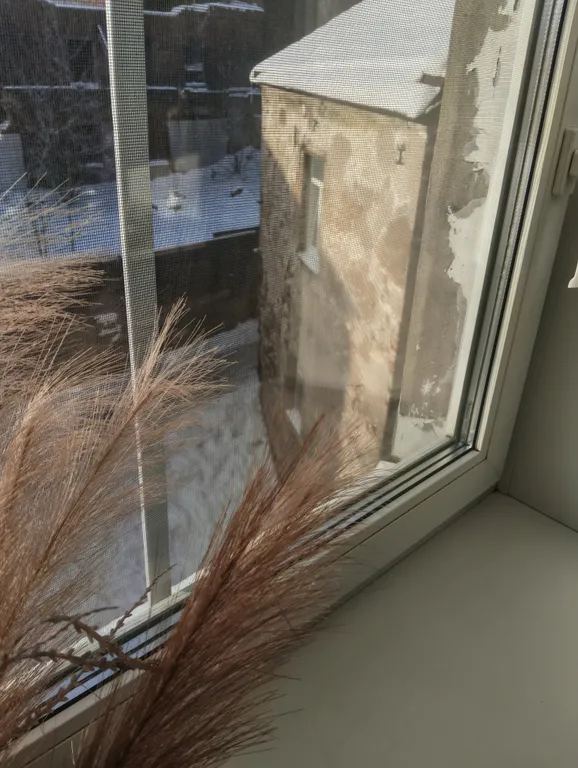 Квартира с видом из окна на самый старый дом в России