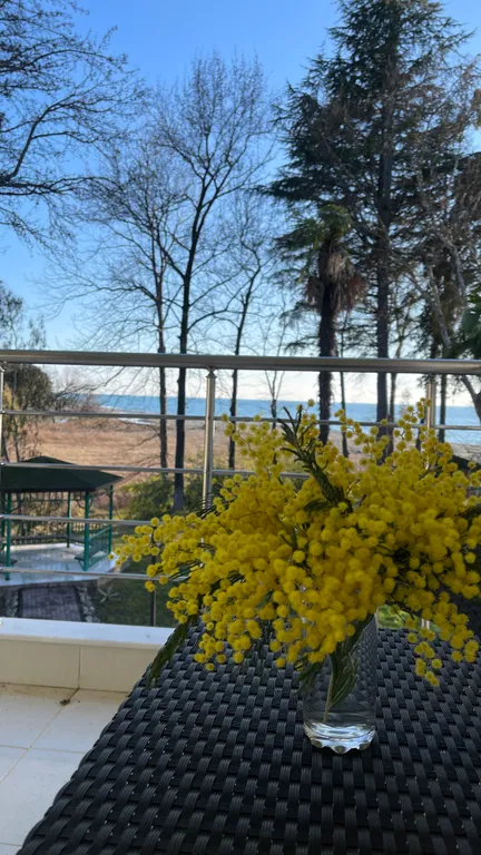 Апартаменты с видом на море