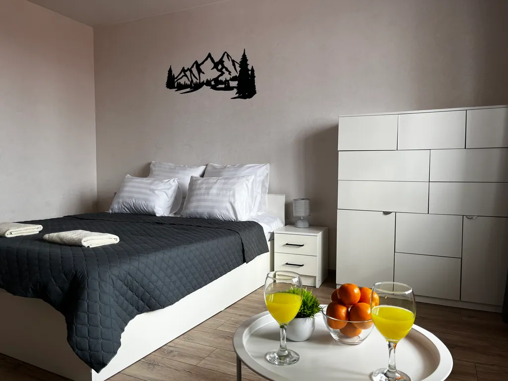 Квартира Квартира с красивым видом — Красноярск