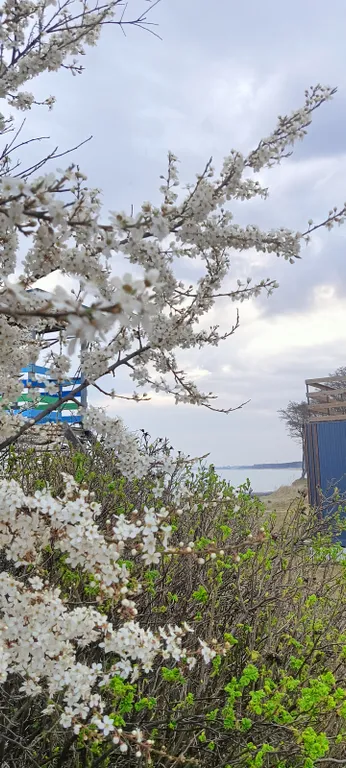 Морской домик на Балтийском побережье