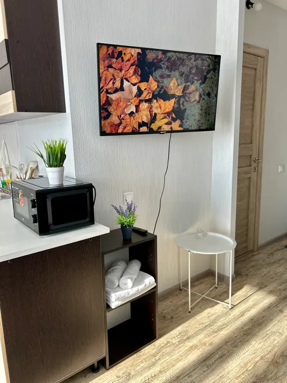 Студия с панорамным видом на Краснопольском проспекте