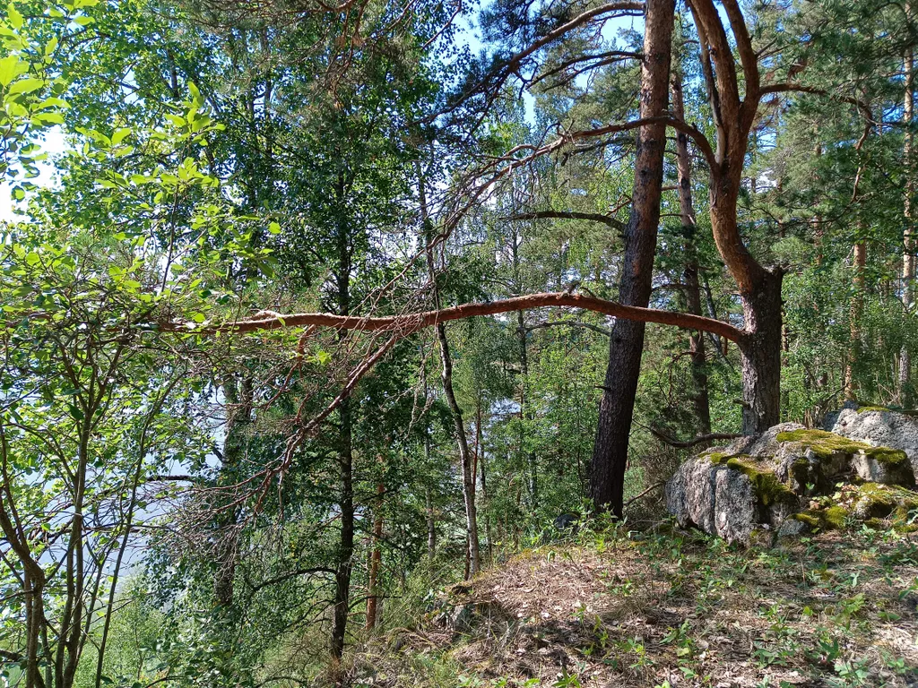 Дом на берегу залива Мусталанлахти
