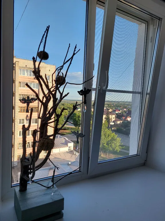 Квартира с видом на город