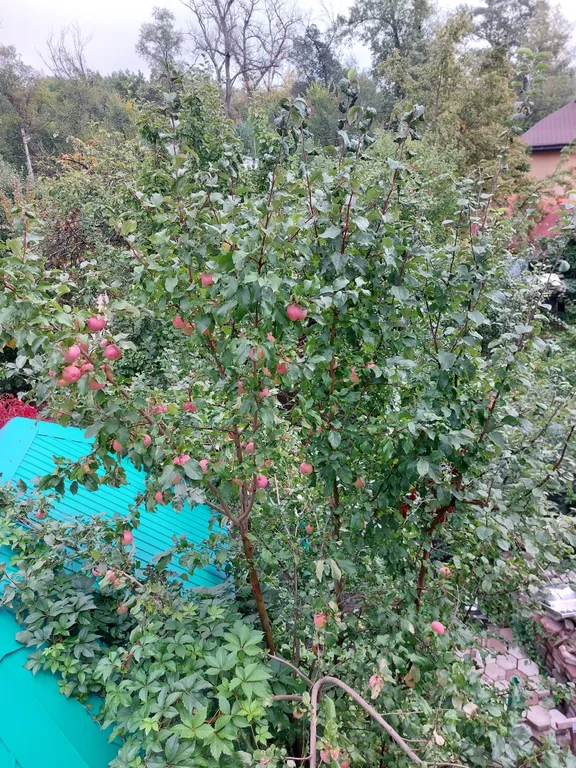 Уютный коттедж с камином и банькой