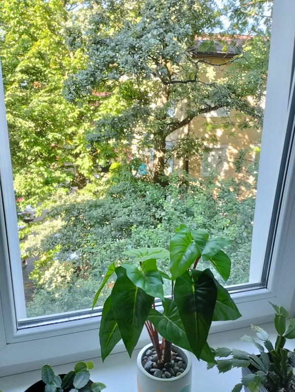 Уютная квартира в центре города район Амалиенау