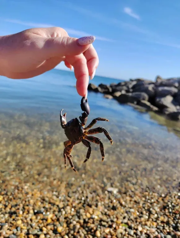 Квартира с шикарным видом на море