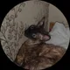 Татьяна