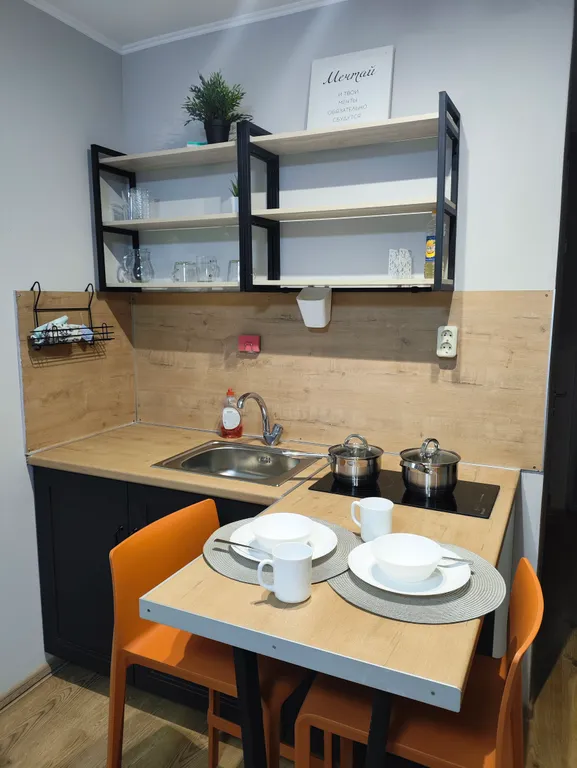 Студия у метро Парнас