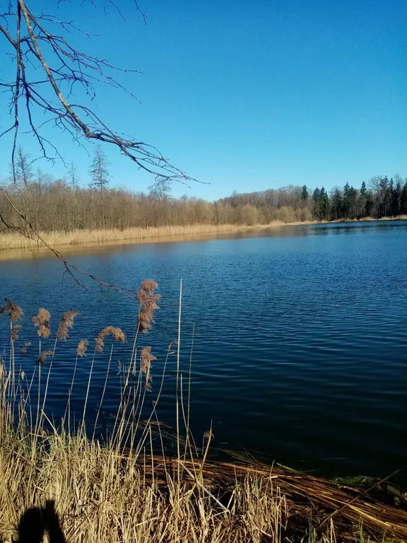 Уютный домик в парковой зоне