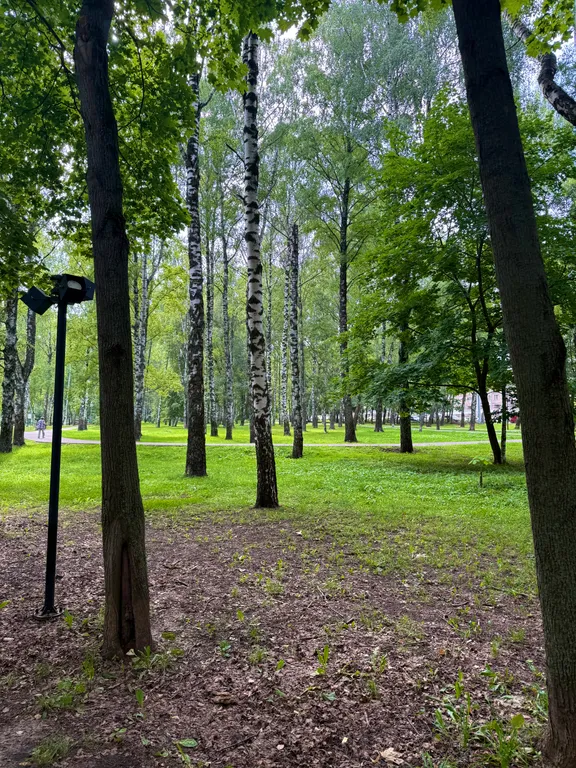 Квартира Апартаменты на 8чел. около парка Пушкина Центр города! Кремль,Океанис — Нижний Новгород