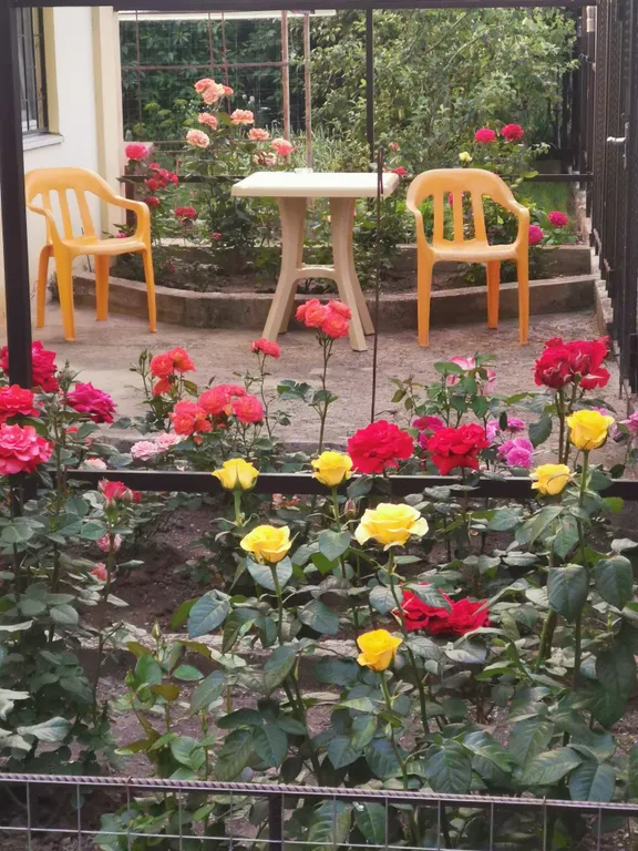 Домик у озера