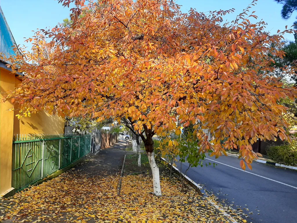 Квартира Квартира на Толстом Мысу между бухтой и открытым морем — Геленджик