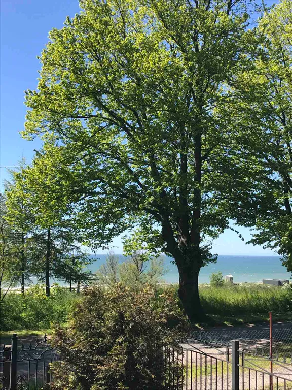 Квартира с видом на море