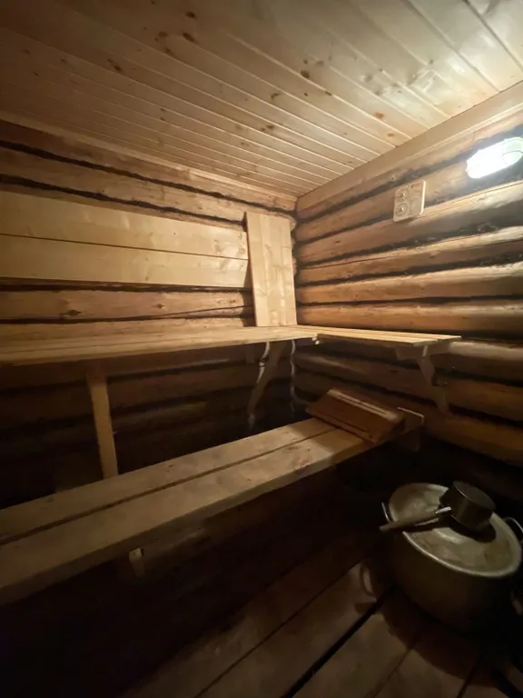 Дом Рыжий кот и Баня в Ипатьевской слободе