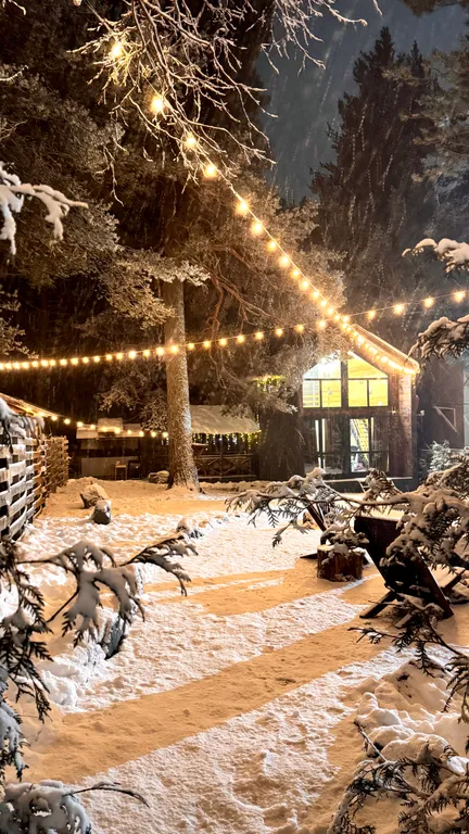 Уютный домик в лесу