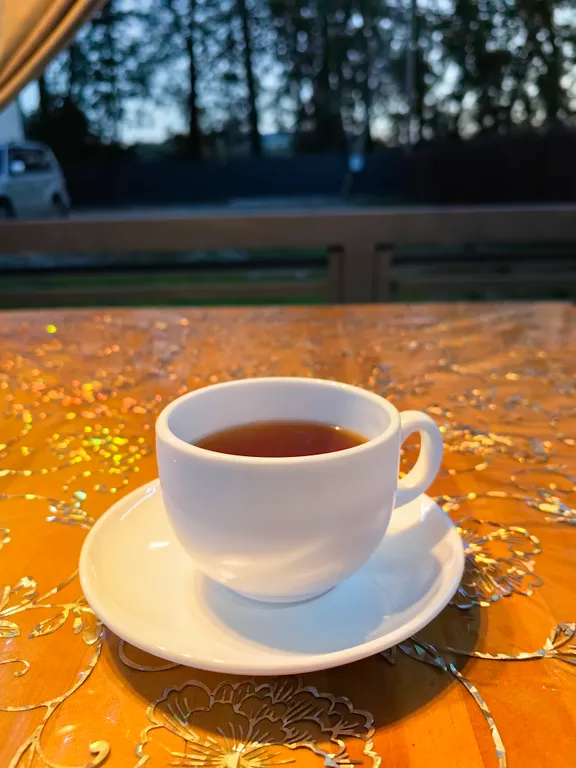 Любимый берег гостевой дом на берегу Катуни