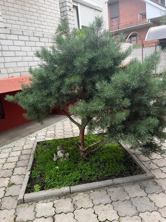 Уютный дом с бассейном, сауной и камином