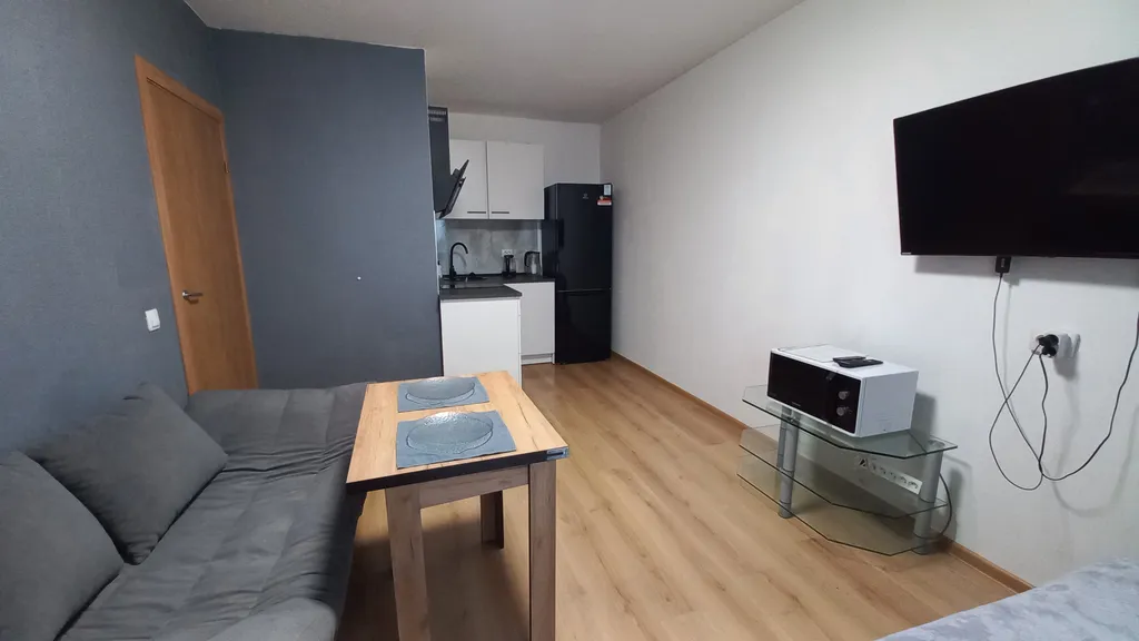 Квартира Уютная квартира рядом с НИИ Петрова — Песочный