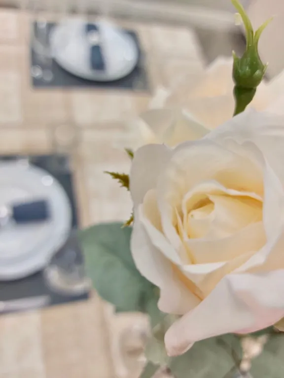 Роскошное жилье в центре - современный комфорт в идеальной локации