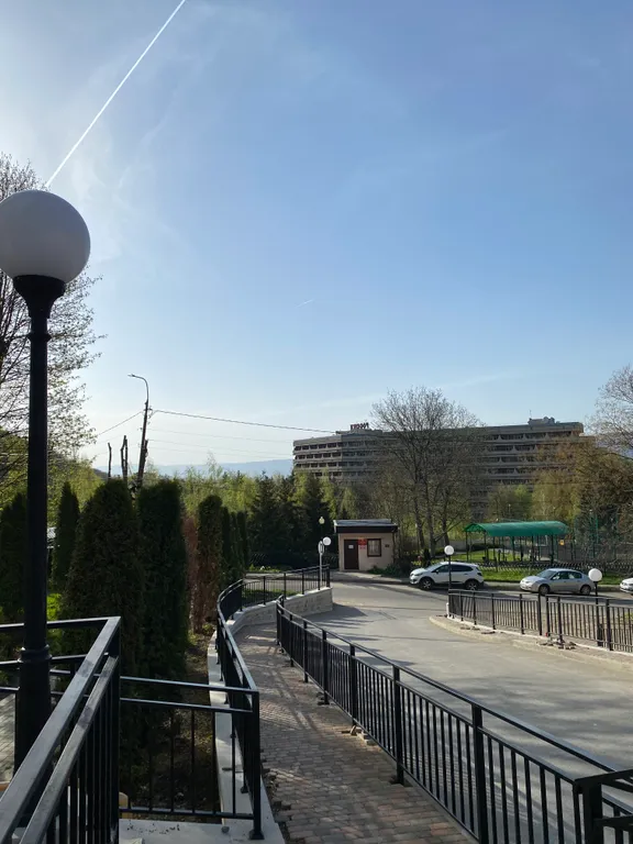 Лесная сказка