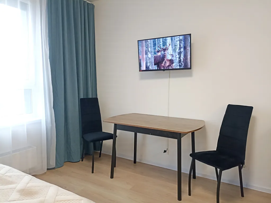 Просторная студия для троих у МРНЦ имени Цыба