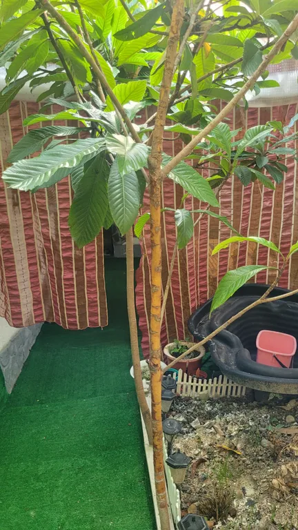 Коттедж Коттедж Уютное местечко — Сочи