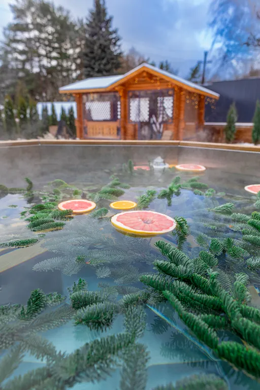 Частный дом с сауной, чаном и караоке в 5 мин от МКАД