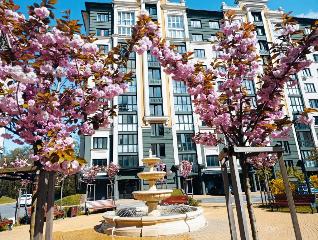 Царство тепла и уюта