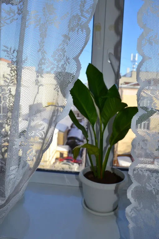 Квартира Квартира Лесная полянка — Екатеринбург