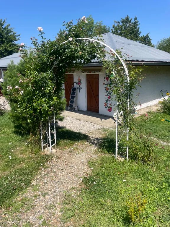 Саманный домик