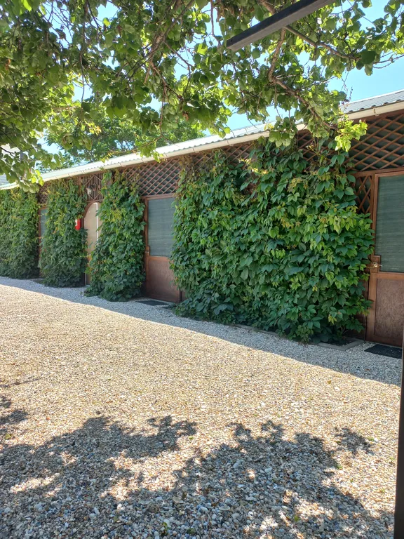 Коттедж Комфорт и отдых — аренда посуточно в Должанская