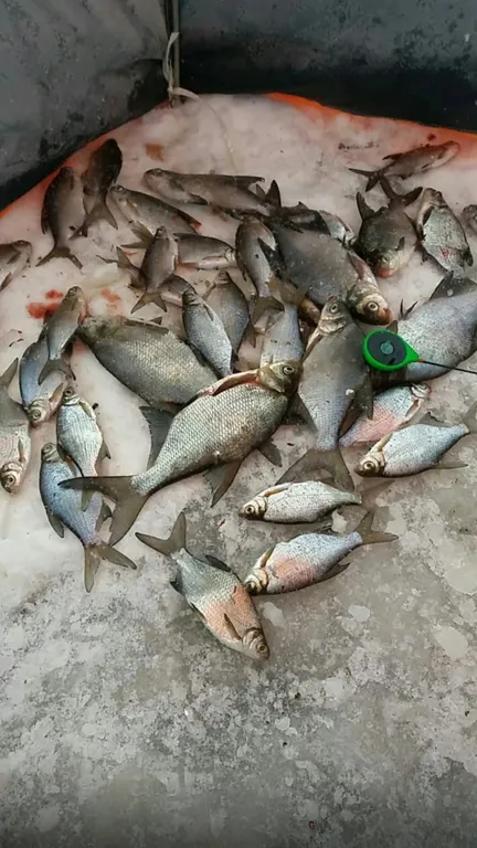 Коттедж Дом с тремя спальнями в турбазе чайка (селигер) — Турбаза Чайка