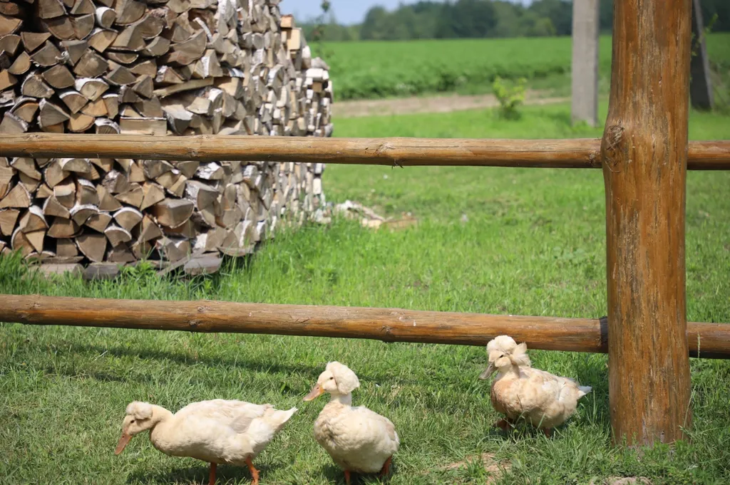 Гостевой дом