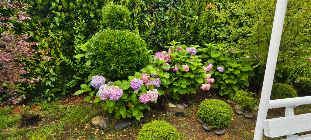 Квартира Квартира Двухспальный комфортабельный номер в гостевом доме — Сухум