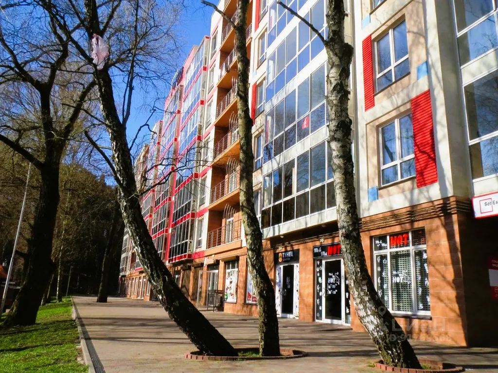 Квартира Квартира евро-двушка в исторической части Светлогорска — Светлогорск