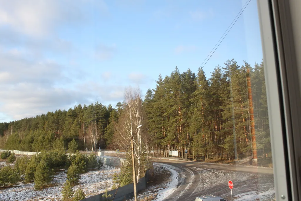 Квартира у леса