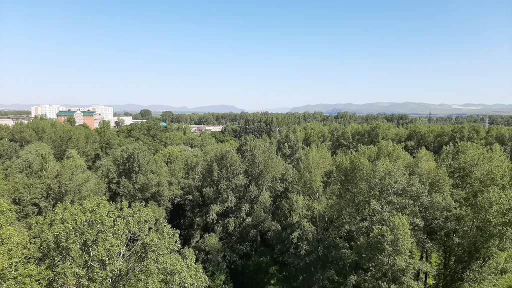 Чистая и уютная студия с видом на долину Енисея