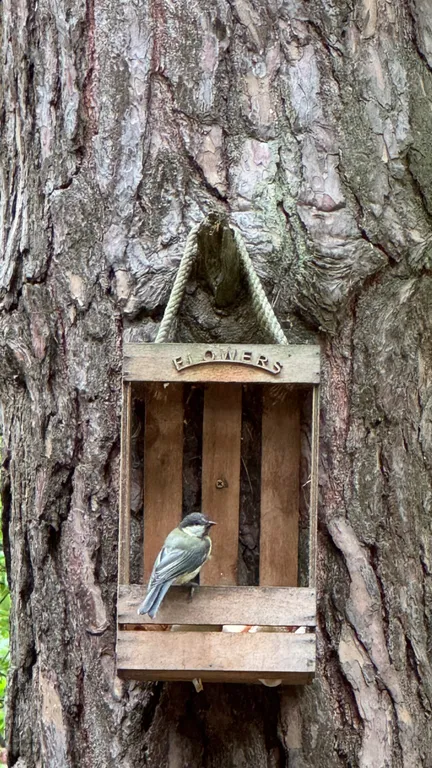 Уютный бревенчатый дом в сосновом бору