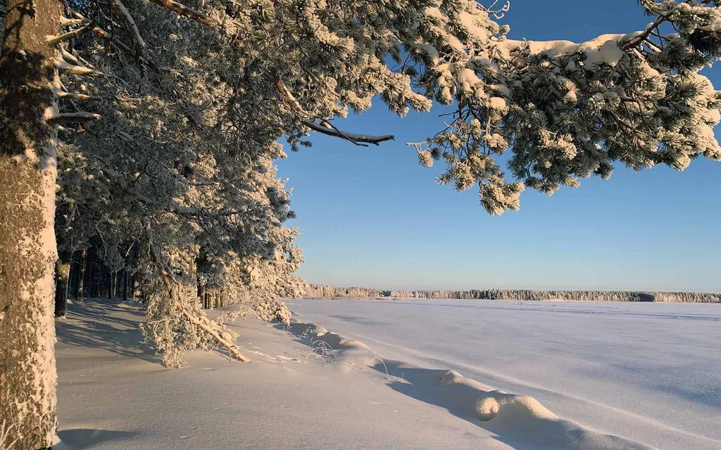 Коттедж Рускеала с сауной и видом на озеро