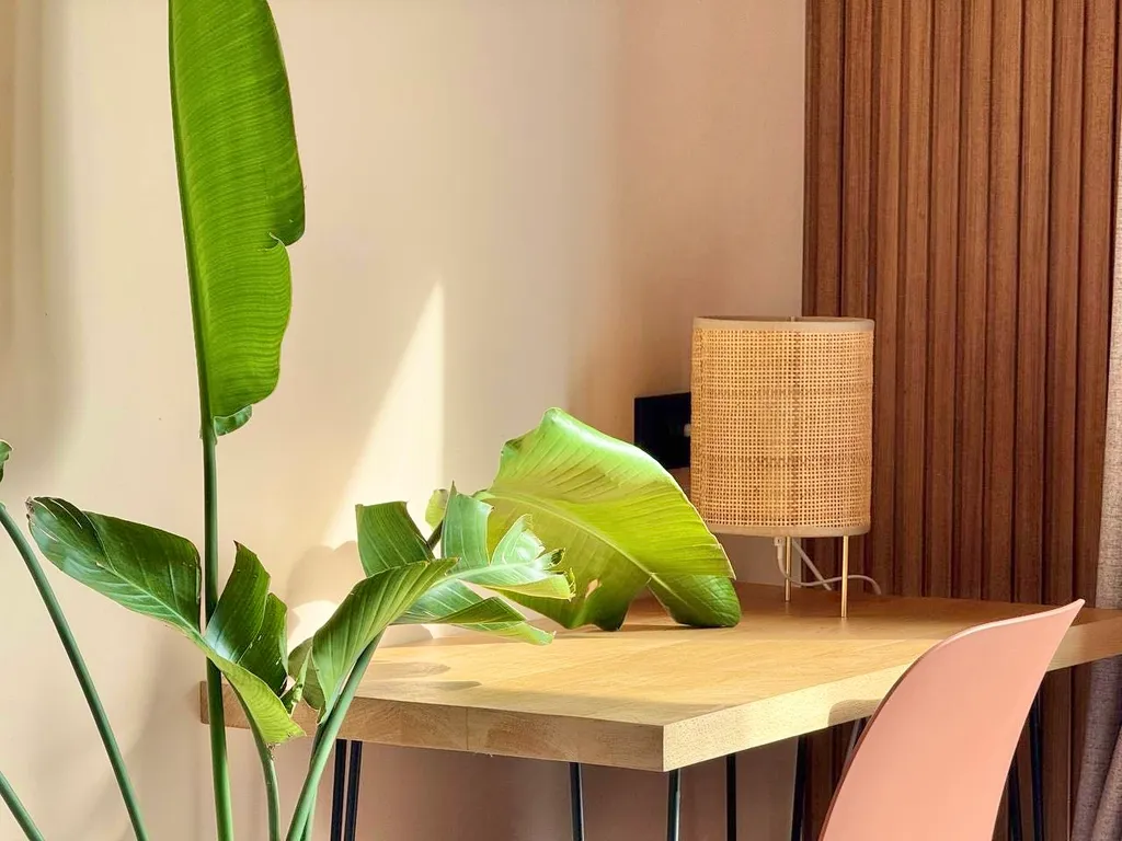 Студия в стиле бохо в историческом центре Батуми