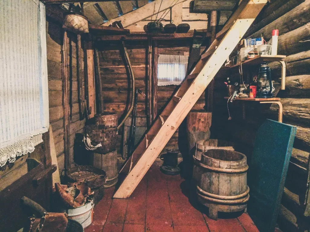 Дом под липой