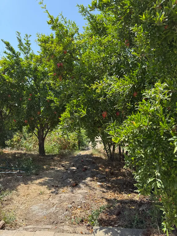 Уютная дача в 3 минутах от моря