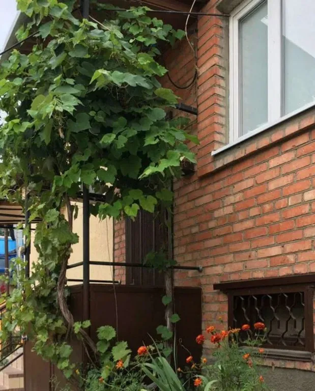 Квартира рядом с парком