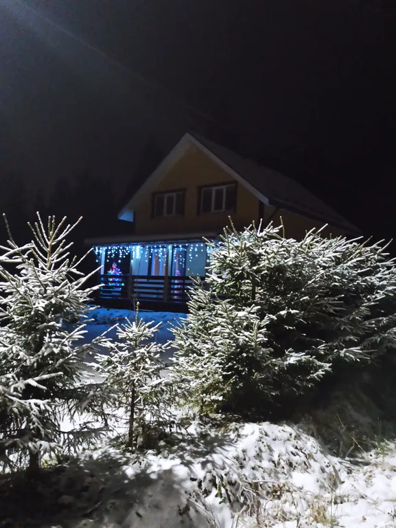 Уютный уголок у леса